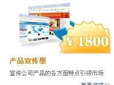 企業(yè)網(wǎng)站開發(fā) 價格、廠商選擇、批發(fā)采購與其他網(wǎng)絡服務深度解析